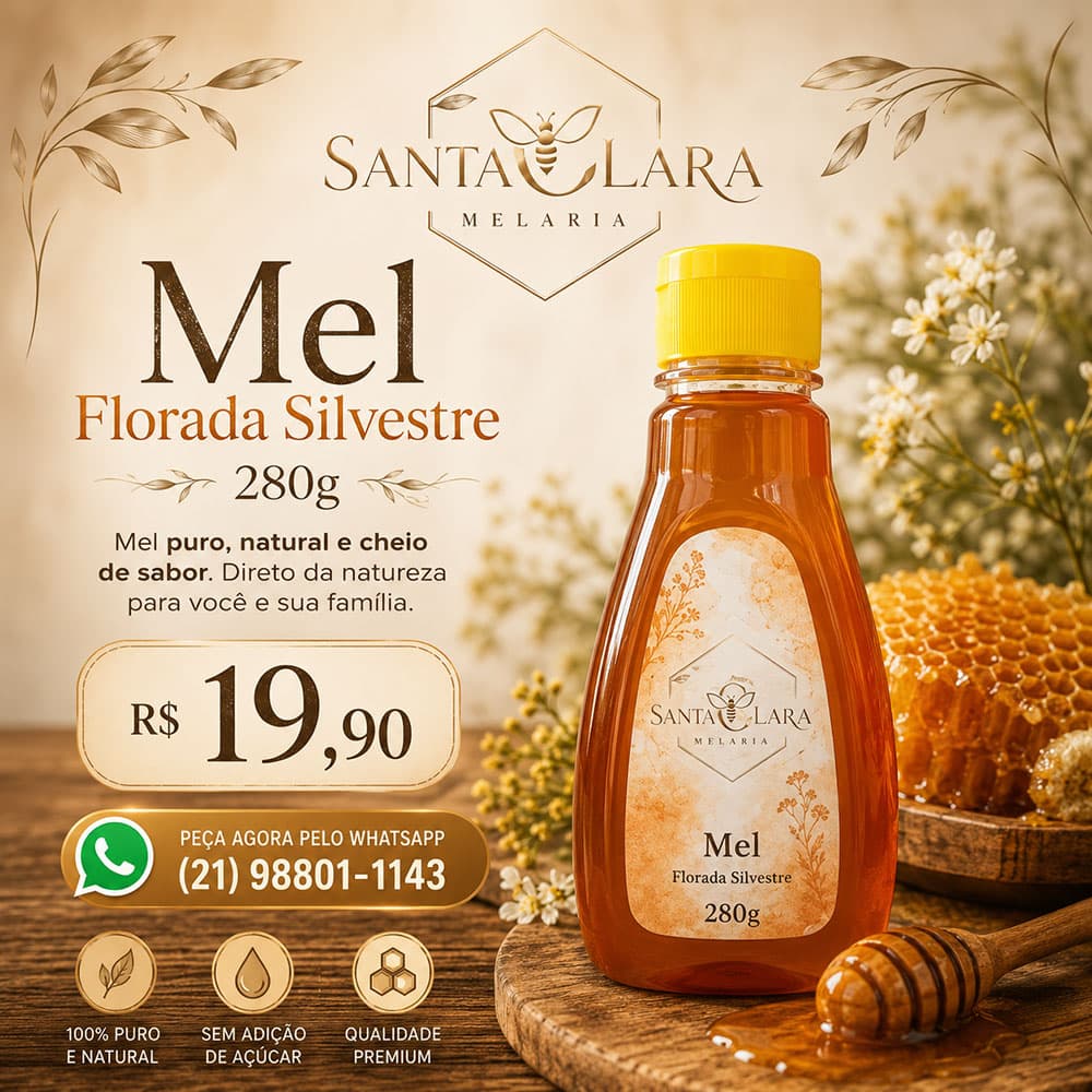 Mel Bisnaga 280 g